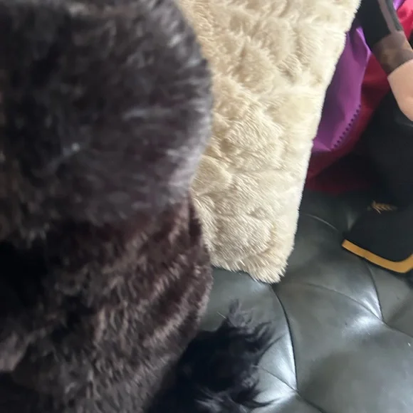 Fantastic Beasts Plush Niffler Harry Potter 11” Black Stuffed Animal - Picture 7 of 8